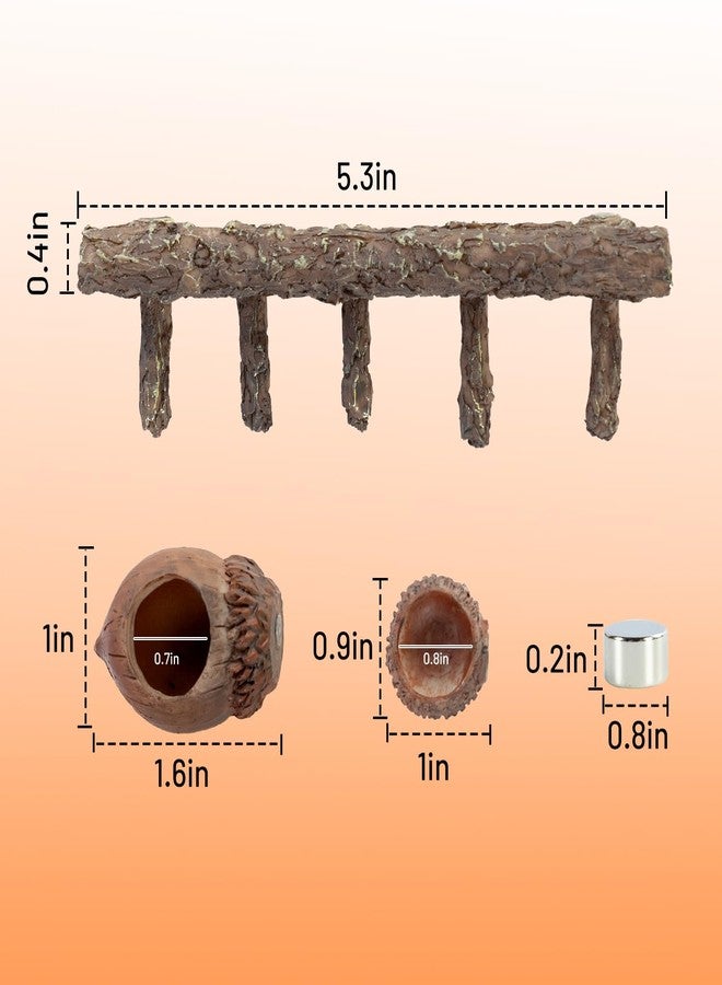 Oiibo Jumping Spider Hideout and Feeding Dish, 3 in 1 Nut Shaped Hide Cave Sets for Spider Playing Feeding Climbing, Enclosure Accessories - Image 3
